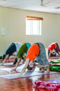 amrita yoga class forward bend pose variation