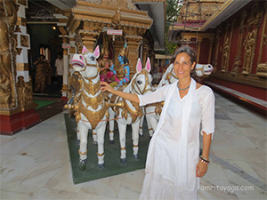 Amma Changed My Life: Amrita Yoga Retreats, Amritapuri, India