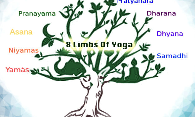 Ashtanga Yoga – The Eight Limbs of Yoga