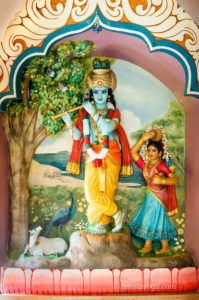 krishna