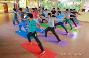 Amrita Yoga warrior pose group