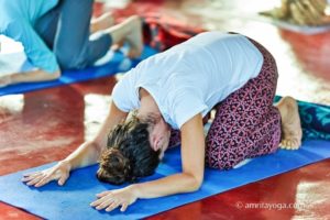 bowing pose asana amrita yoga