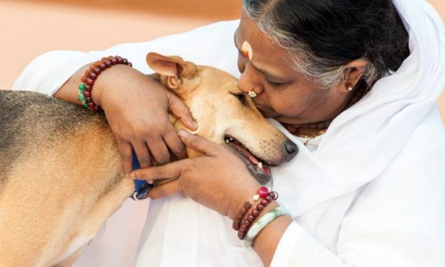 Amma and the Rabid Dog