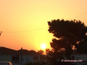 tree shadow at sunset