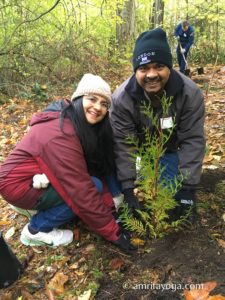 amma volunteers planting saplings