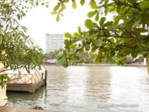 Amritapuri ashram backwaters