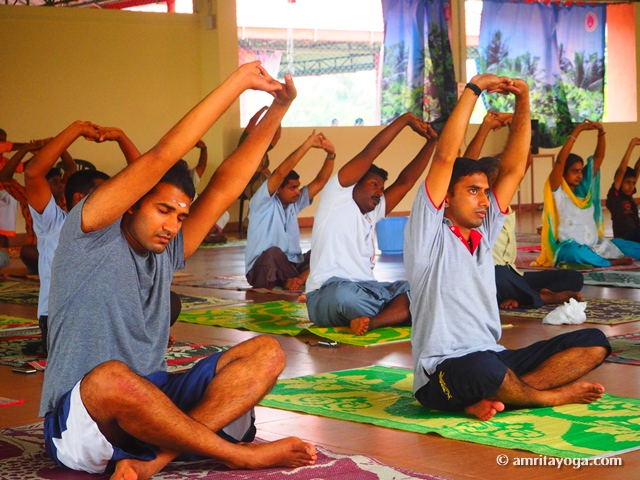 seated arm raised stretch pose | Amrita Yoga